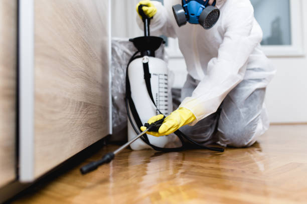 Best Commercial Pest Control Services  in Pine Air, FL