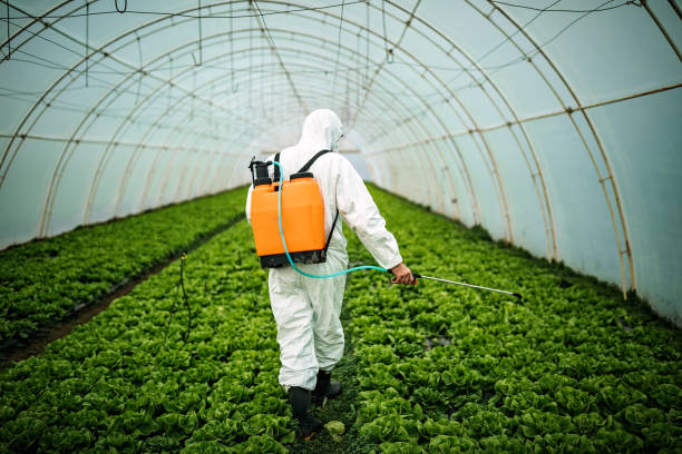 Best Pest Prevention Services  in Pine Air, FL