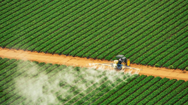Best Insect Control  in Pine Air, FL