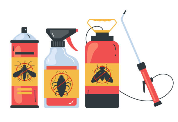 Best Affordable Pest Control Services  in Pine Air, FL