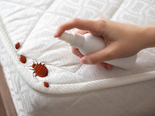 Pest Control Cost in Pine Air, FL